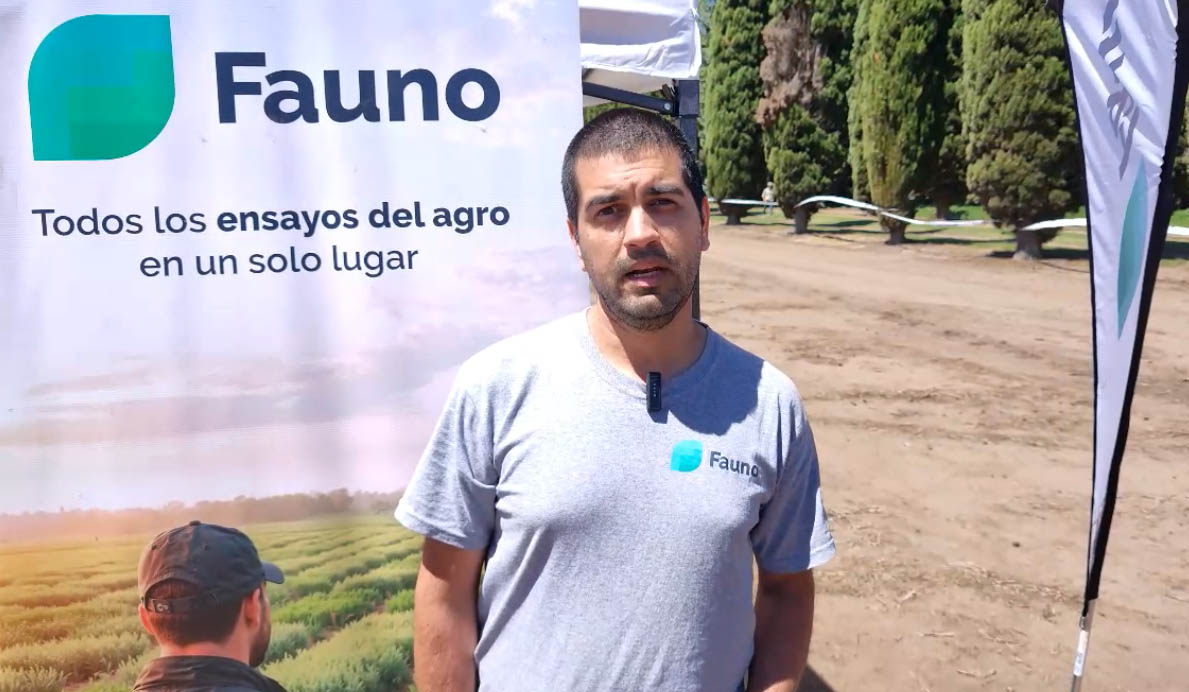 ¿Qué es Fauno? la plataforma que publica miles de datos de ensayos